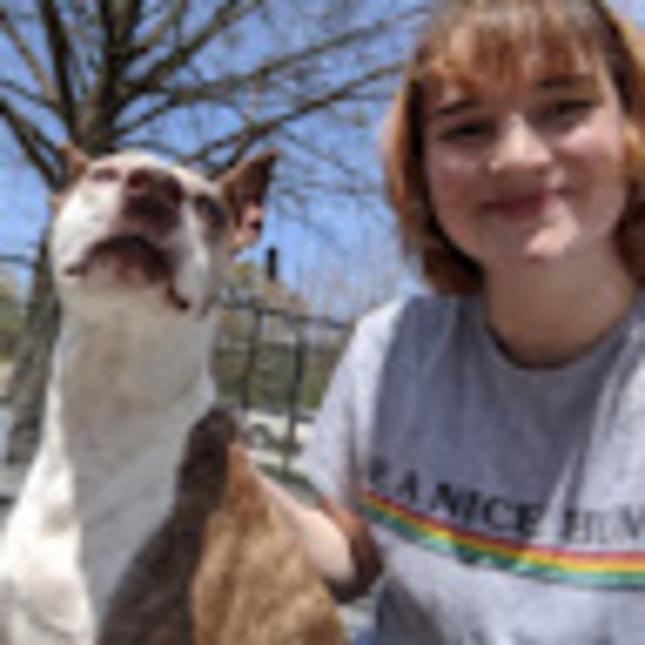 Meet your Posher, Rachel - Picture 1 of 1